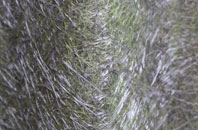 Wettenhall Green fibreglass roof work